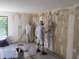 Best Biohazard Mold Removal  in Dillonvale, OH